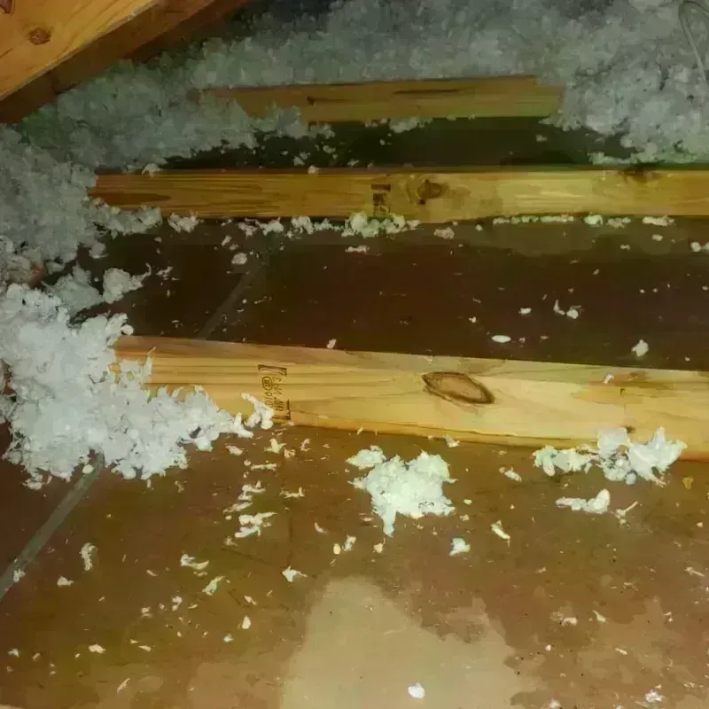 Attic Water Damage in Rawlins, WY